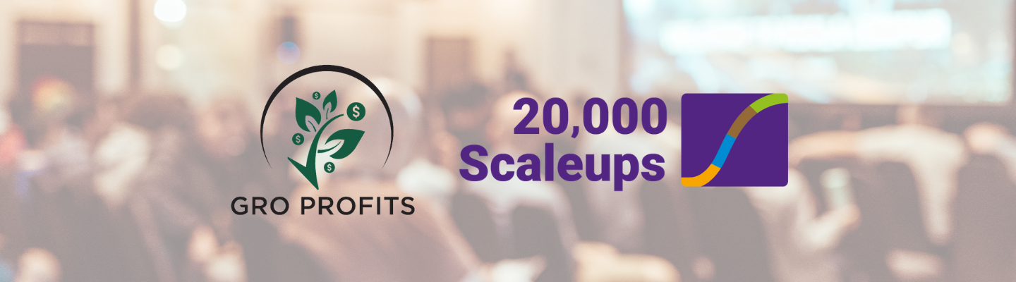 20,000 Scale-Ups Program